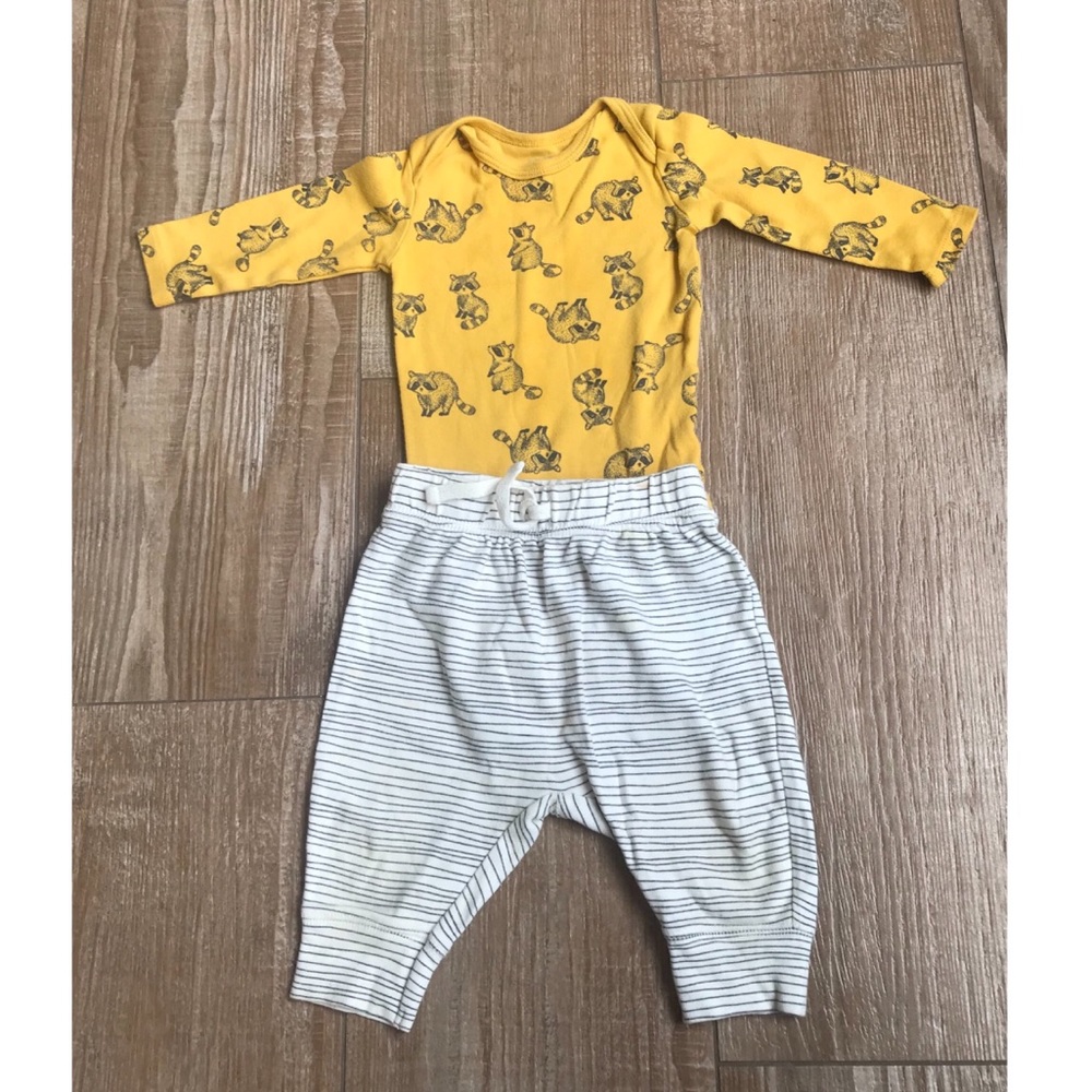 SOLD Baby Racoon • Yellow Bandit Matching Set - Picture 1 of 7